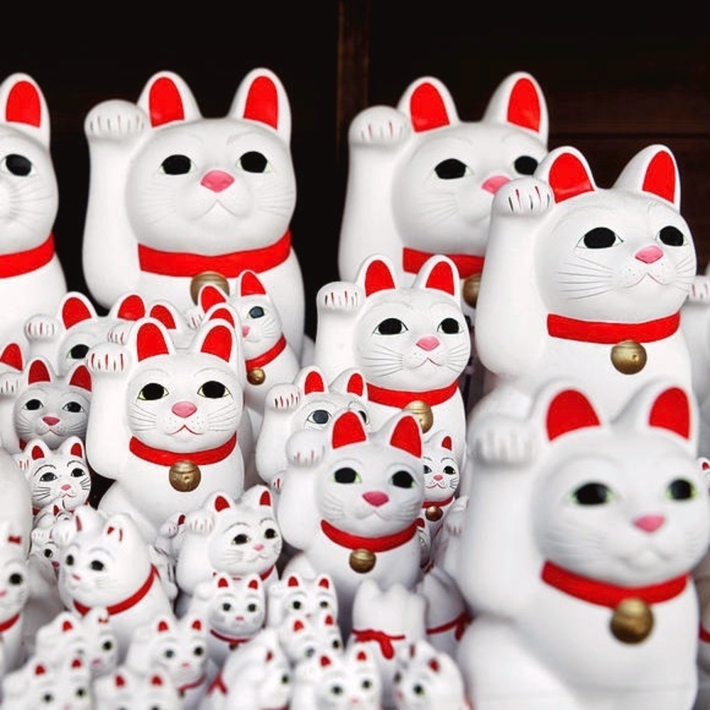 Welcome, CHECK OUT OUR BOUTIQUE ITEMS